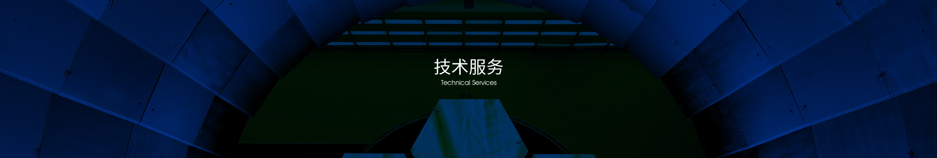 技术实力