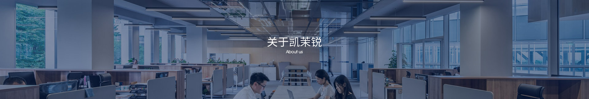 公司简介