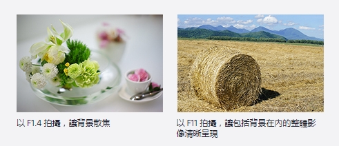微信截图_20250205173826.png
