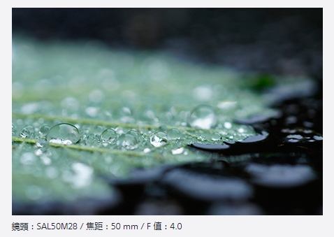 微信截图_20250210143957.png