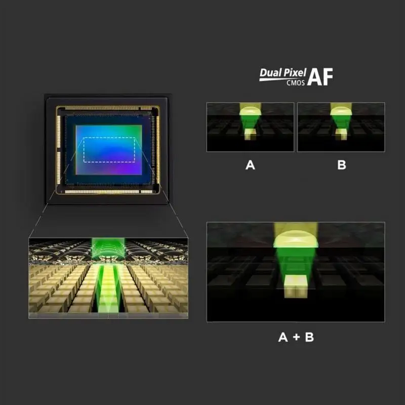 640.webp (2).png