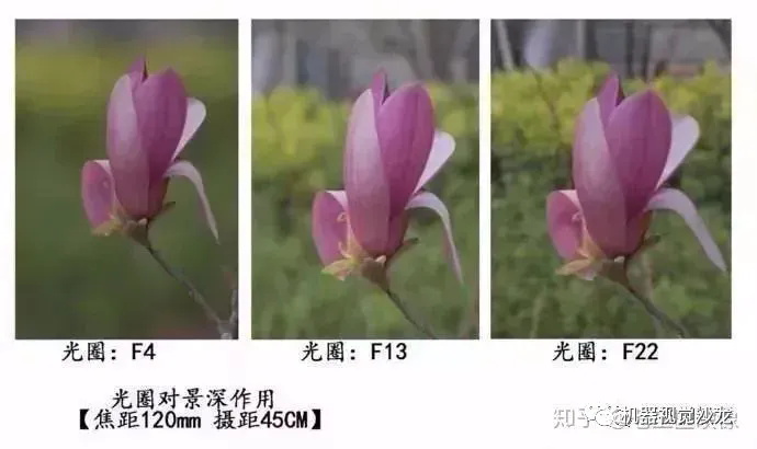 不同光圈下的景深展示