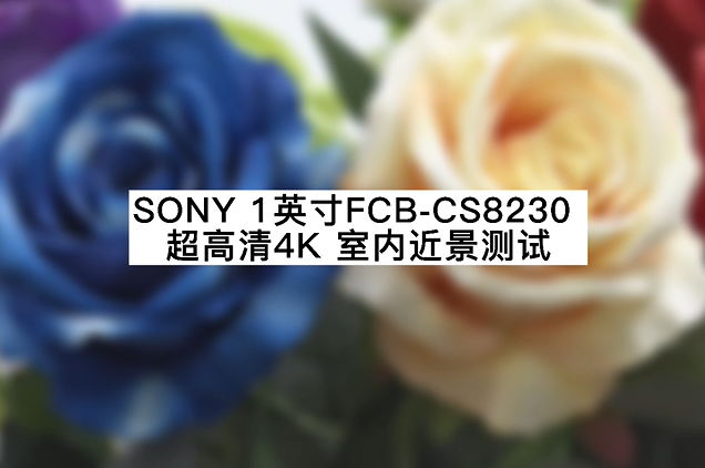 超高清4K 12倍光学室内近景测试
