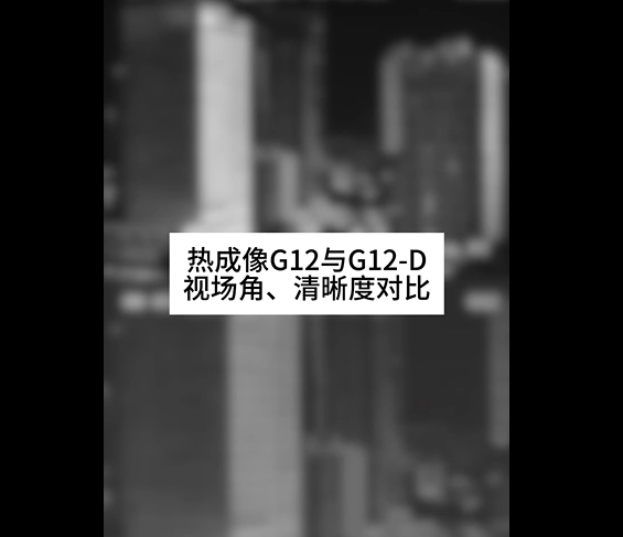 G12与G12D热成像对比