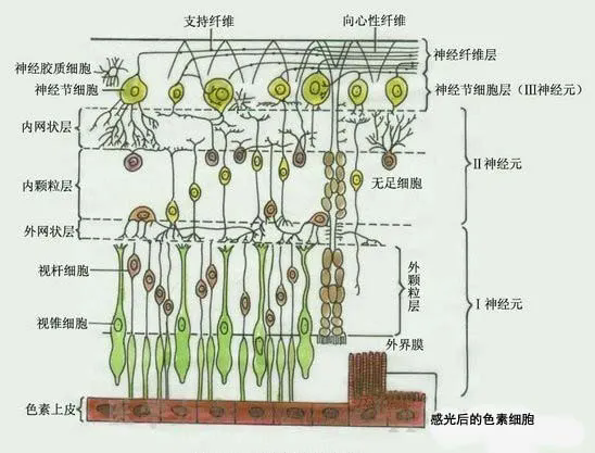 640.webp (2).png