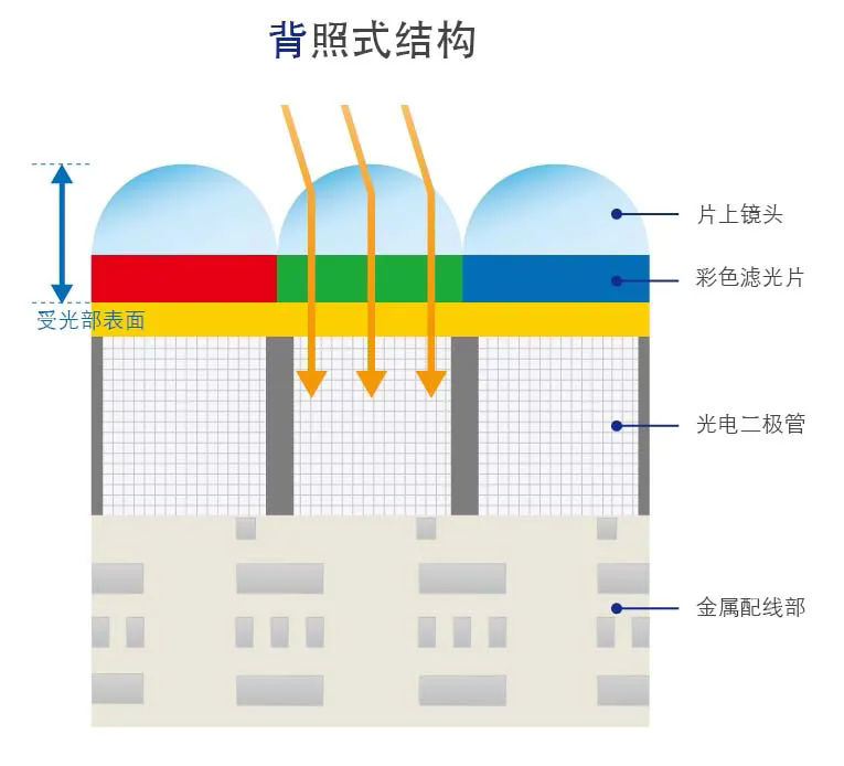 640.webp (3).png