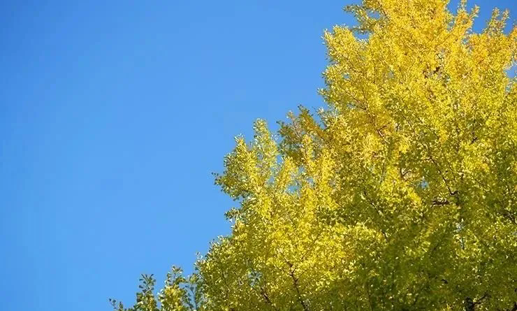 640.webp (3).png