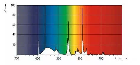 640.webp (3).png