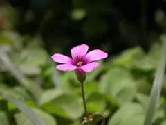 640.webp (3).png