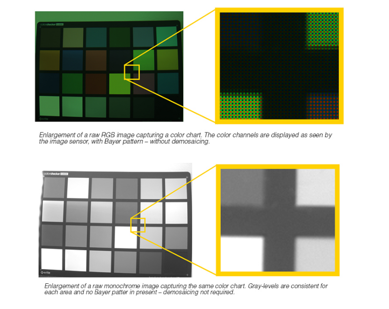 如何选择黑白相机和彩色相机