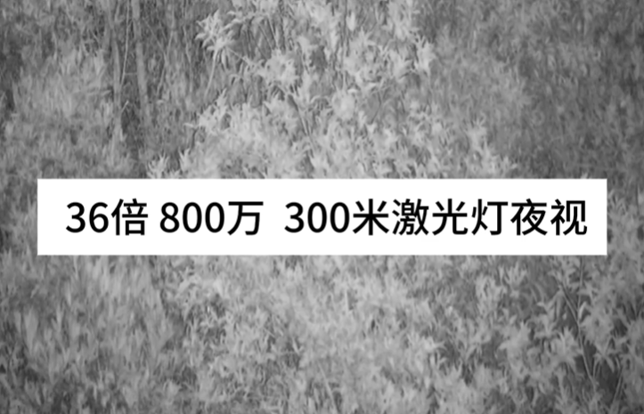 36倍800万像素300米激光灯夜视效果