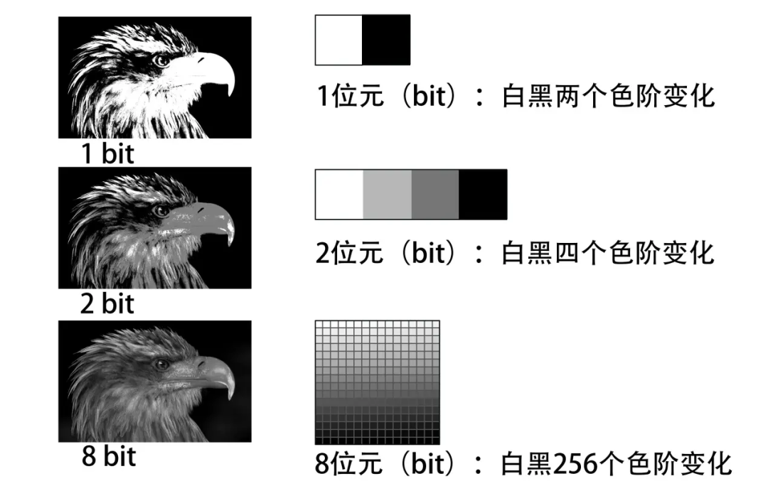 1780468833152589.png